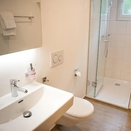 Hotel Berggasthaus Zanuz *