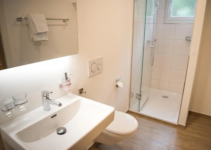 Hotel Berggasthaus Zanuz *