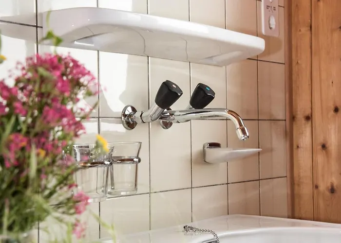 Berggasthaus Zanuz Hotel Bad Ragaz